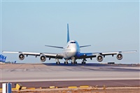 Miguel A. gueda Rguez.  (CANARY ISLANDS SPOTTING). Click to see full size photo