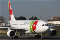 Rodrigo Carvalho - Noisy Spotters. Click to see full size photo