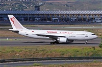 Miguel A. gueda Rguez.  (CANARY ISLANDS SPOTTING). Click to see full size photo
