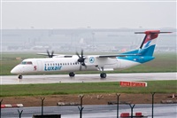 Javier de la Cruz - CANARY ISLANDS SPOTTING. Click to see full size photo