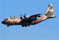Alejandro H.L - Gran Canaria Spotters. Click to see full size photo
