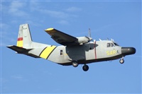 H.volar. Click to see full size photo