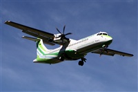 Nacho Rodriguez - Canary Islands Spotting. Click to see full size photo
