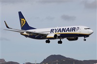 Alfonso Sols - Asociacin Canary Islands Spotting. Haz click para ampliar