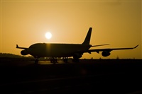 Javier de la Cruz - CANARY ISLANDS SPOTTING. Click to see full size photo