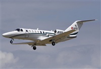 Jos Miguel Bernases - Noisy Spotters. Click to see full size photo