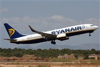 Rodrigo Carvalho - Noisy Spotters. Click to see full size photo