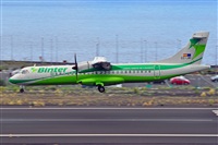 Miguel A. gueda Rguez.  (CANARY ISLANDS SPOTTING). Click to see full size photo