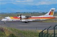 Alejandro Bethencourt (Canary Islands Spotting). Click to see full size photo