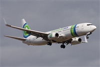 Alfonso Sols - Asociacin Canary Islands Spotting. Haz click para ampliar