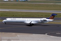 Javier de la Cruz - CANARY ISLANDS SPOTTING. Haz click para ampliar