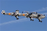 Moga Ral Viorel. Click to see full size photo