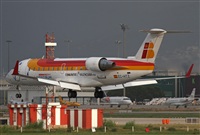 Jos Miguel Bernases - Noisy Spotters. Click to see full size photo