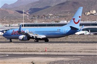 ©Alfonso Solís - Asociación Canary Islands Spotting. Click to see full size photo ©Alfonso Solís - Asociación Canary Islands Spotting. Click to see full size photo