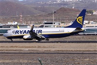 Alfonso Sols - Asociacin Canary Islands Spotting. Click to see full size photo