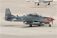 JF Alemn-GranCanariaSpotters. Click to see full size photo