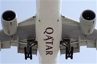 Miguel Martin Cordeiro - Iberian Spotters. Click to see full size photo
