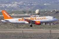 Miguel A. gueda Rguez.  (CANARY ISLANDS SPOTTING). Click to see full size photo