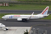 Javier de la Cruz - CANARY ISLANDS SPOTTING. Click to see full size photo