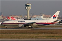 Rodrigo Carvalho - Noisy Spotters. Click to see full size photo