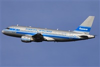 Miguel Alia - Noisy Spotters. Click to see full size photo