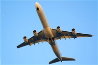Saimon J Rodriguez   -   Canary Islands Spotting. Click to see full size photo
