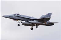 David Manuel Tobarra Ruiz - Spotters Murcia. Click to see full size photo
