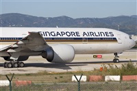 Miguel Alia - Noisy Spotters. Click to see full size photo