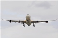 Miguel A. gueda Rguez.  (CANARY ISLANDS SPOTTING). Click to see full size photo