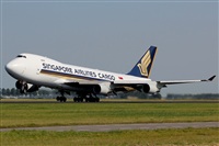 Rodrigo Carvalho - Noisy Spotters. Click to see full size photo