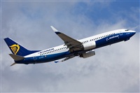 Miguel Alia - Noisy Spotters. Click to see full size photo