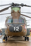 ©Adolfo Bento - Gran Canaria Spotters. Click to see full size photo ©Adolfo Bento - Gran Canaria Spotters. Click to see full size photo