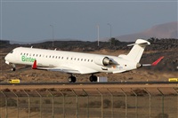 Adrin Alonso Lemes - Lanzarote Spotters. Click to see full size photo
