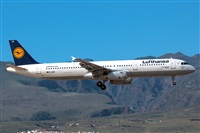 Bartolom Fernndez - Gran Canaria Spotters. Click to see full size photo