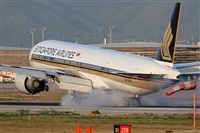 Rubn Gil - Noisy Spotters. Click to see full size photo