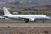 ©Alfonso Solís - Asociación Canary Islands Spotting. Click to see full size photo ©Alfonso Solís - Asociación Canary Islands Spotting. Click to see full size photo