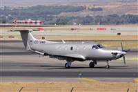 Miguel A. gueda Rguez.  (CANARY ISLANDS SPOTTING). Haz click para ampliar