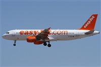 Alfonso Sols - Asociacin Canary Islands Spotting. Click to see full size photo