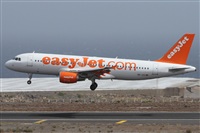 ©Alfonso Solís - Asociación Canary Islands Spotting. Click to see full size photo ©Alfonso Solís - Asociación Canary Islands Spotting. Click to see full size photo