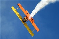 Ana L@dy Spotter. Click to see full size photo