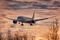 Javier de la Cruz - CANARY ISLANDS SPOTTING. Click to see full size photo