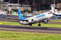 Javier de la Cruz - CANARY ISLANDS SPOTTING. Haz click para ampliar