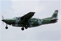 Rodrigo Carvalho - Noisy Spotters. Click to see full size photo