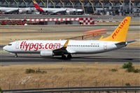Alfonso Sols - Asociacin Canary Islands Spotting. Haz click para ampliar