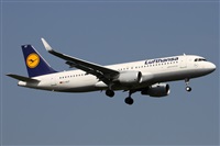 Alfonso Sols - Asociacin Canary Islands Spotting. Click to see full size photo