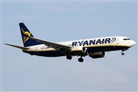 Alfonso Sols - Asociacin Canary Islands Spotting. Click to see full size photo