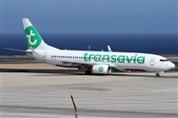 ©Alfonso Solís - Asociación Canary Islands Spotting. Click to see full size photo ©Alfonso Solís - Asociación Canary Islands Spotting. Click to see full size photo