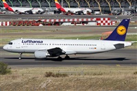 Alfonso Sols - Asociacin Canary Islands Spotting. Haz click para ampliar