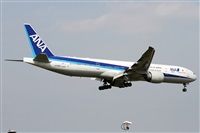 ©Alfonso Solís - Asociación Canary Islands Spotting. Click to see full size photo ©Alfonso Solís - Asociación Canary Islands Spotting. Click to see full size photo
