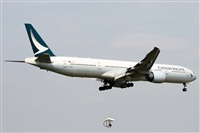Alfonso Sols - Asociacin Canary Islands Spotting. Click to see full size photo